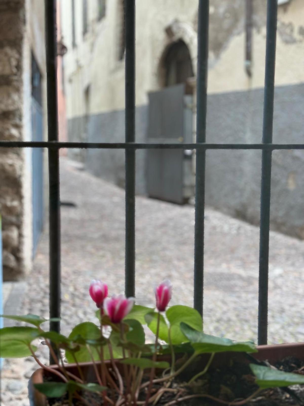Duomo Nest Entire Apartment Тренто Экстерьер фото